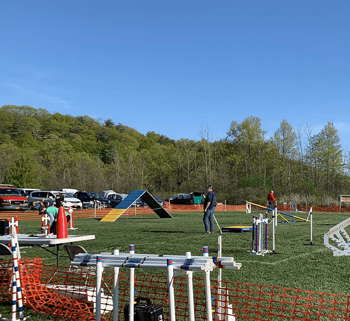 Dream Dogs Training Center To build and strengthen the bond between