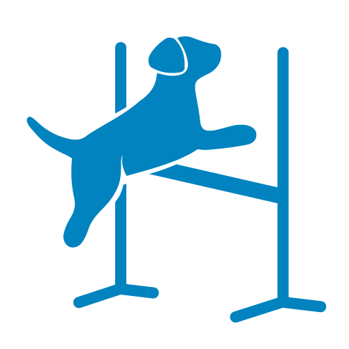 Agility icon