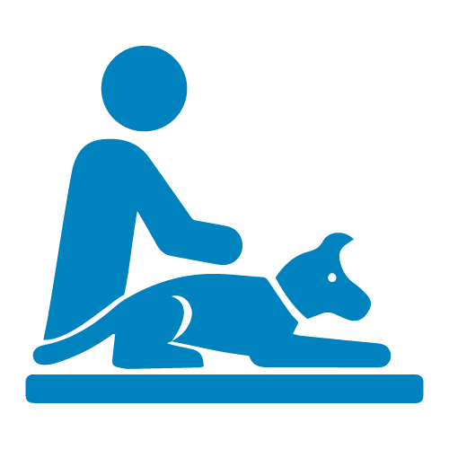 Canine Massage icon
