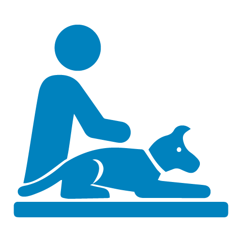 Canine Massage icon