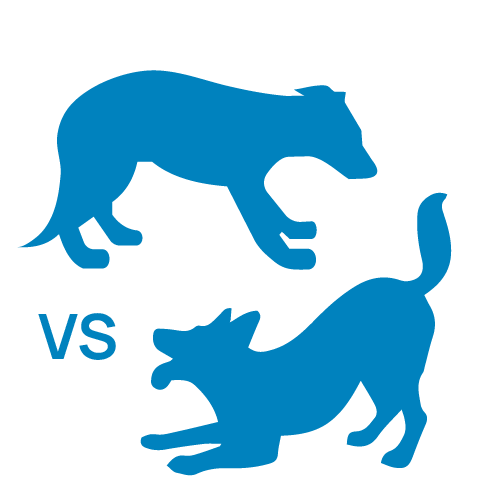 Canine Communication Icon